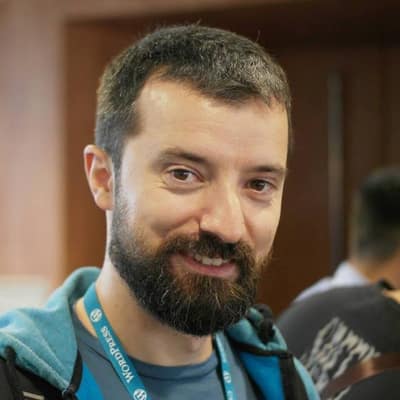 Nemanja Aleksic Interview - Themeisle 
