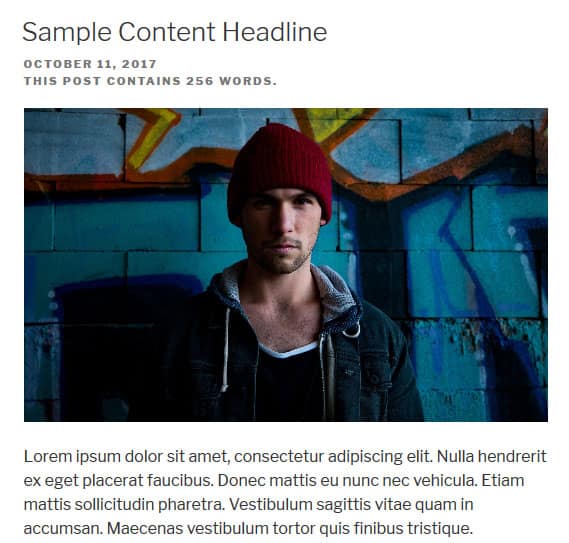 wordpress functions.php add word count