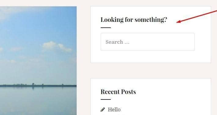 search-widget-demo