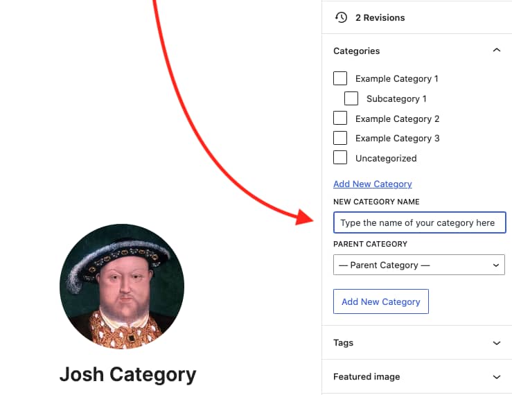 Adding categories to WordPress posts | Step 3