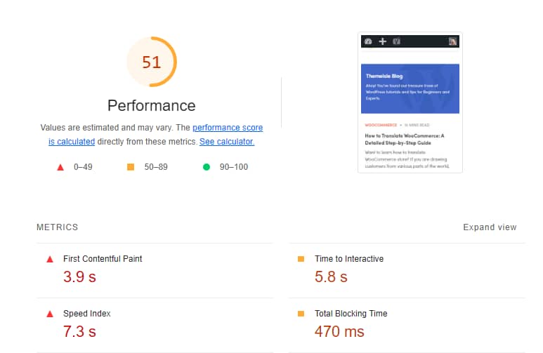 Lighthouse Performance Score