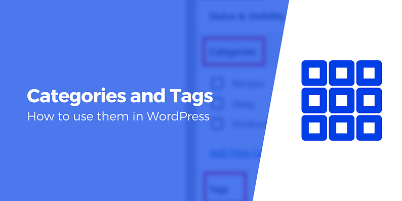 Categories and tags in WordPress