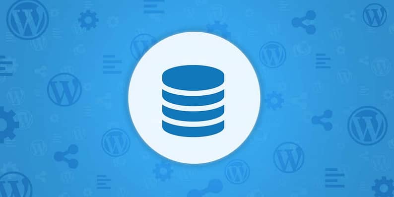 WordPress database maintenance plugins
