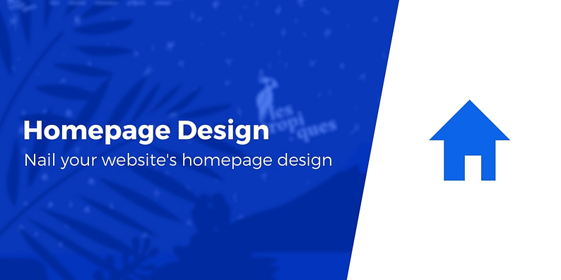 Website homepage design