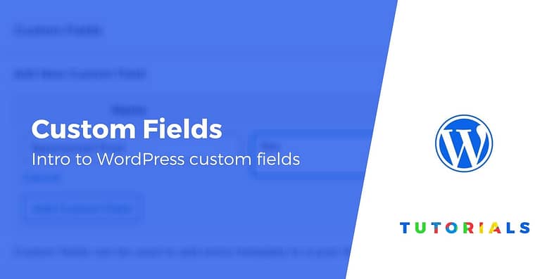 Custom Fields in WordPress