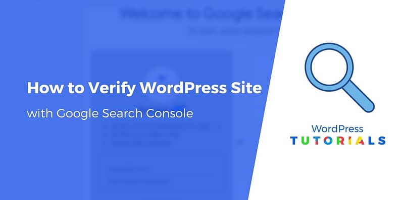 google site verification wordpress