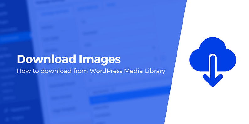 download images from wordpress media library