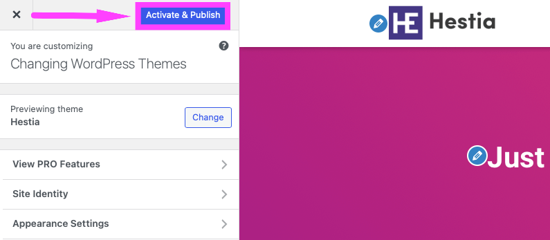 Image showing the Activate & Publish theme Button