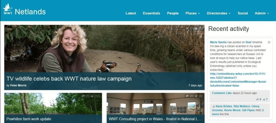 An example of an intranet.