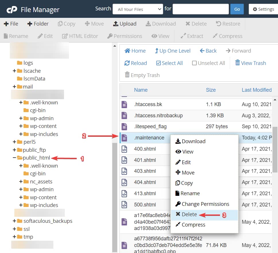 deleting maintenance file via file manager
