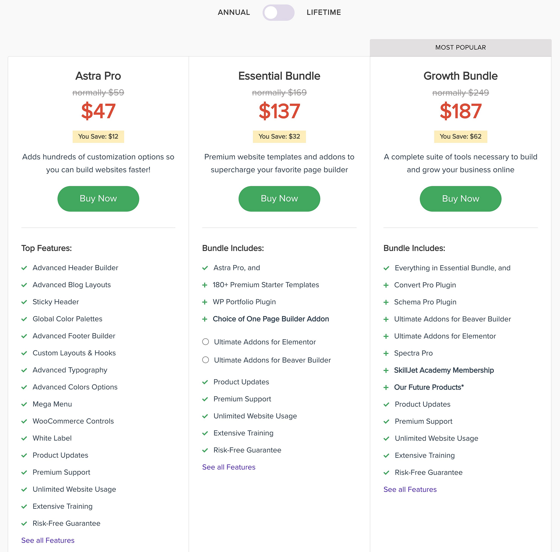 Astra theme review of pricing options.