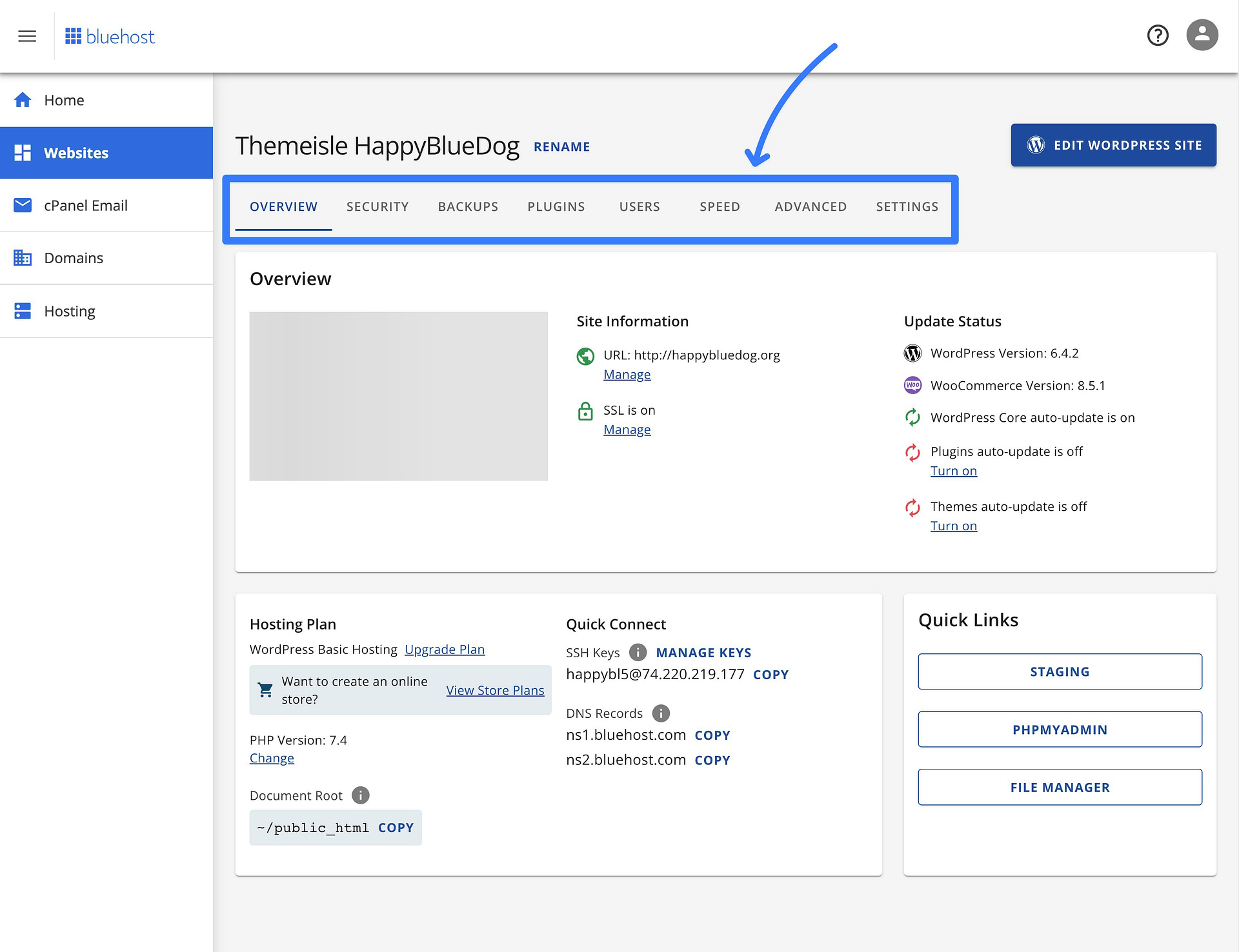 Bluehost custom dashboard.