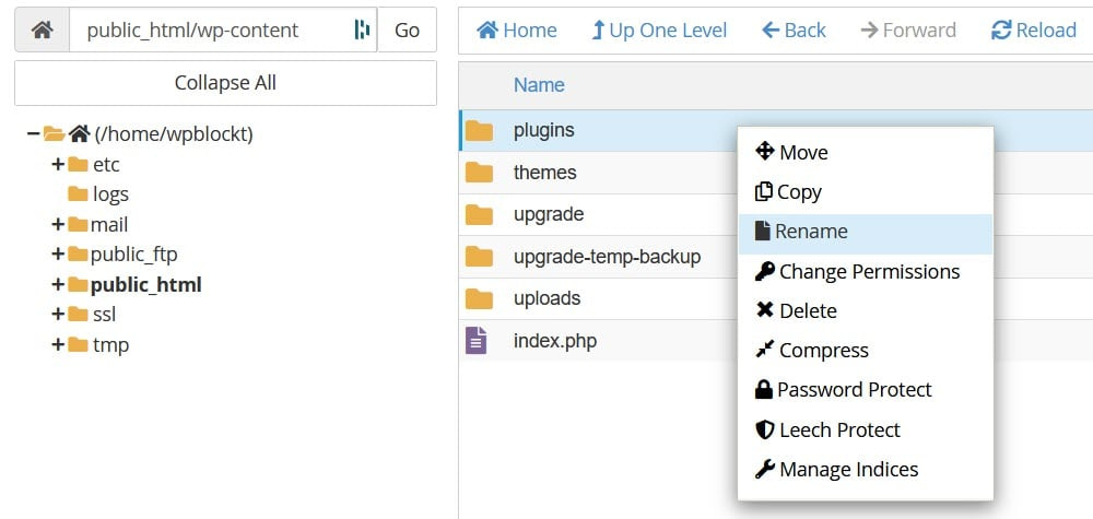 Rename the plugins folder in File Manager