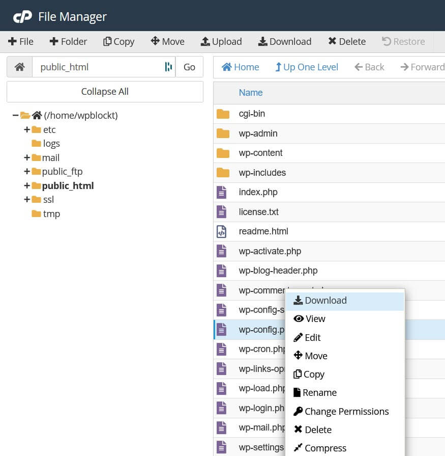 Download wp-config.php from cPanel File Manager