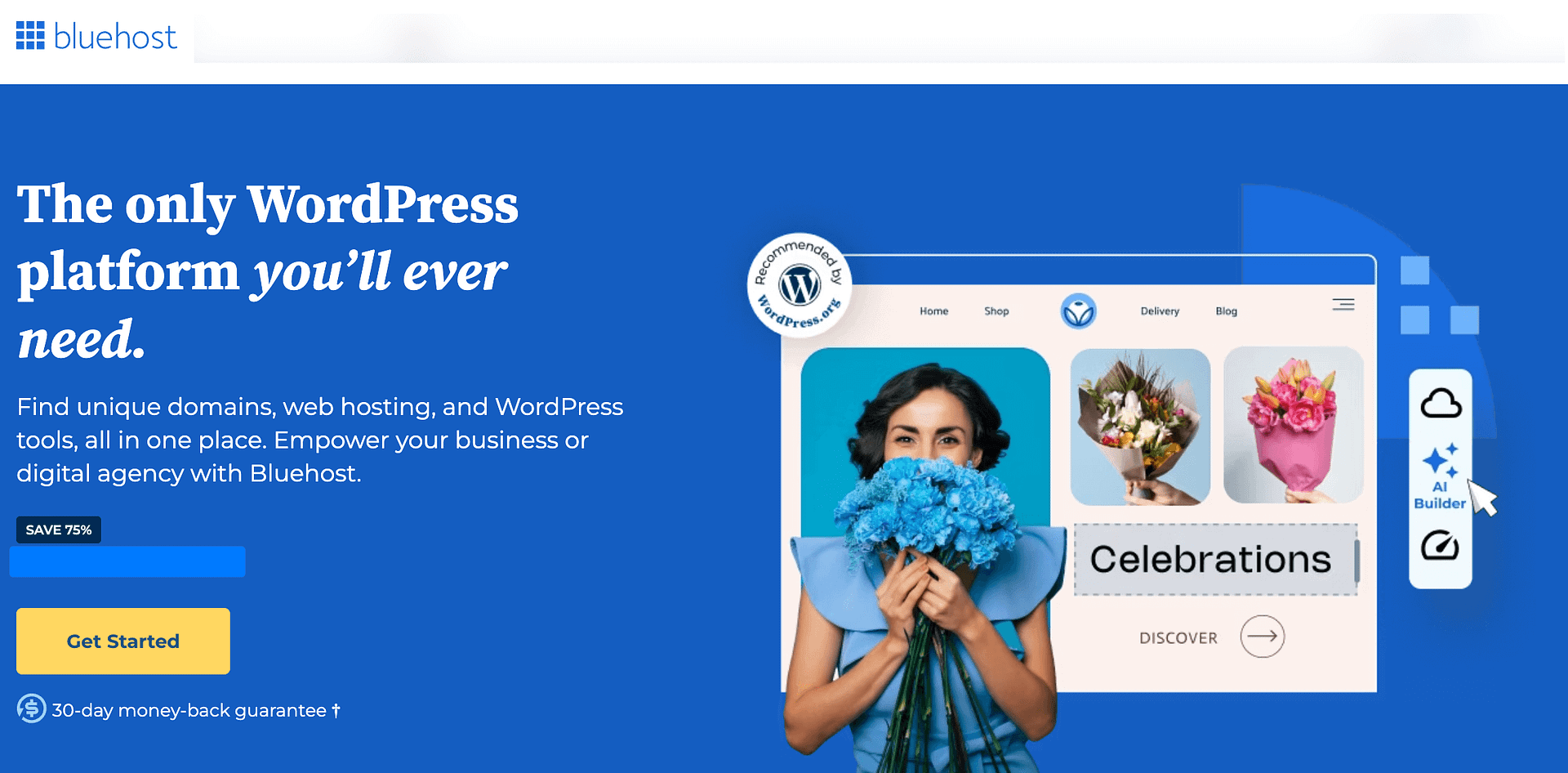 What Is a Hosting Provider: Bluehost