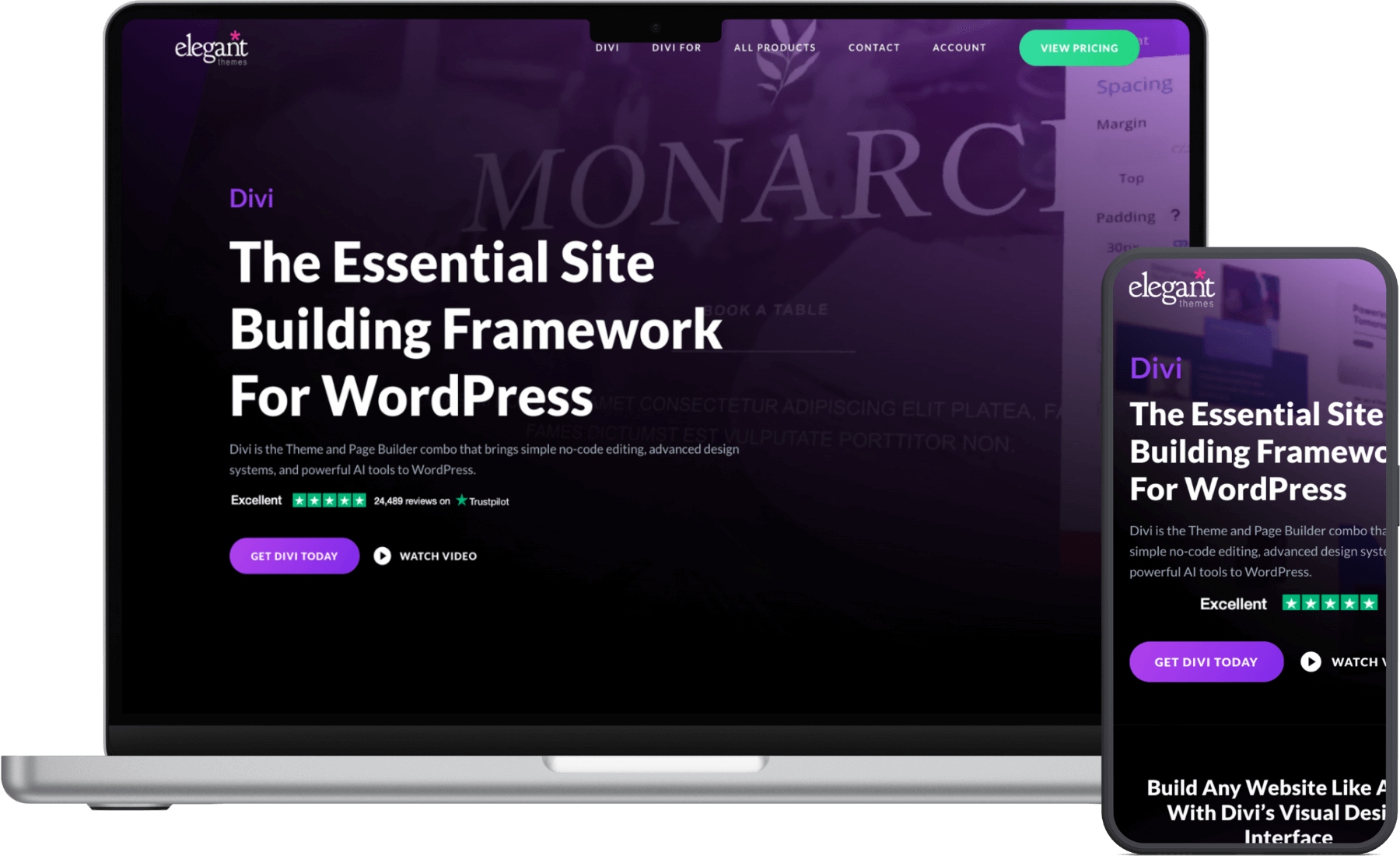 Divi theme layout