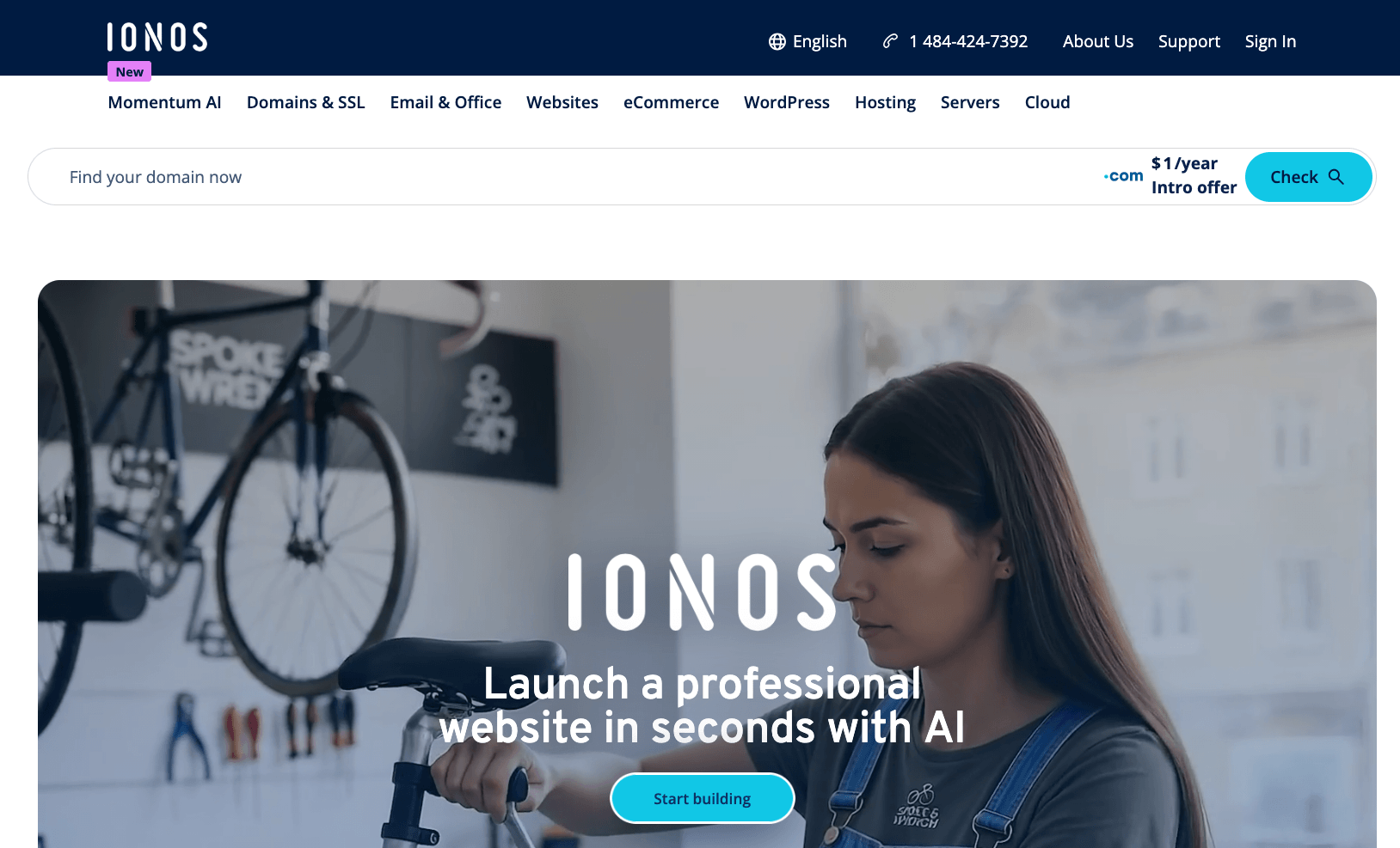 IONOS: cheapest host on this list for one year