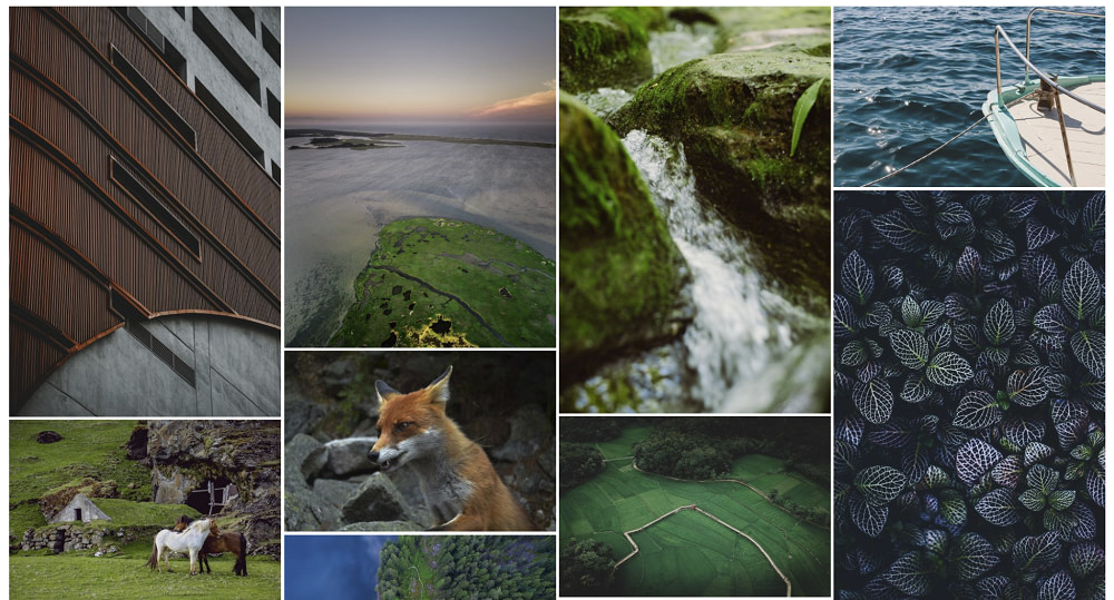 Galleries are a must-have WordPress plugins for photographers