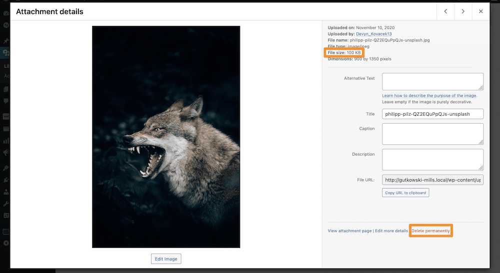 An image from the WordPress Media Library showing the file size and Delete Permanently button.