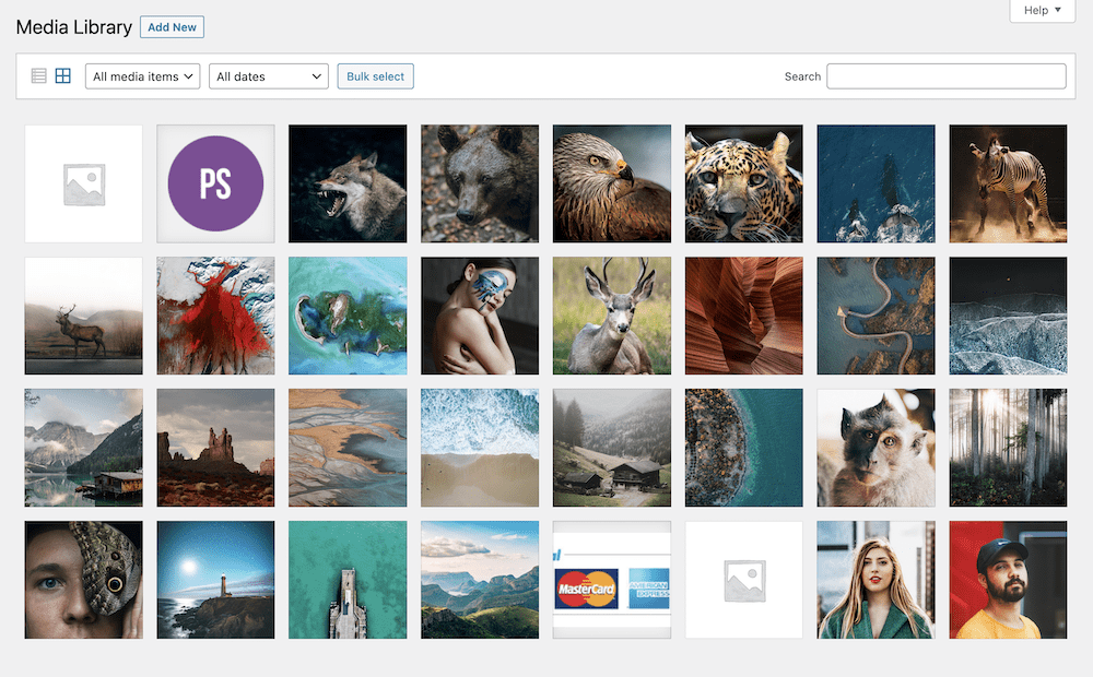 The WordPress Media Library.