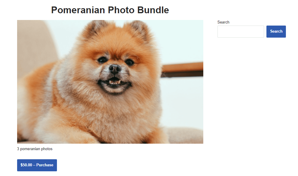 Buying a digital art piece.