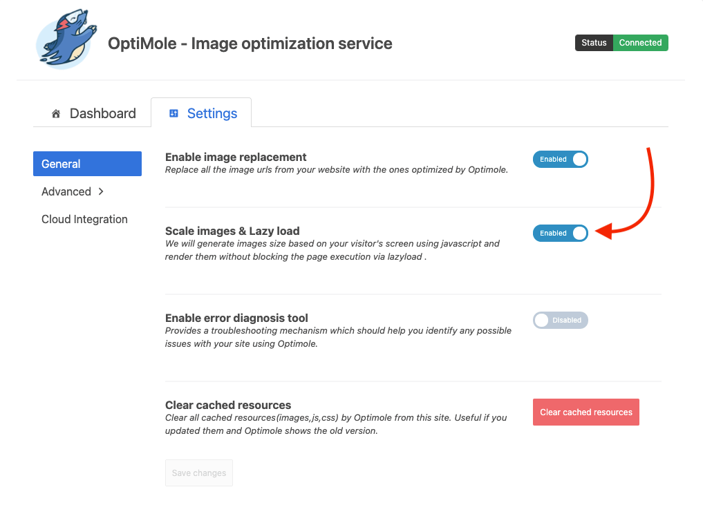 The Optimole plugin settings