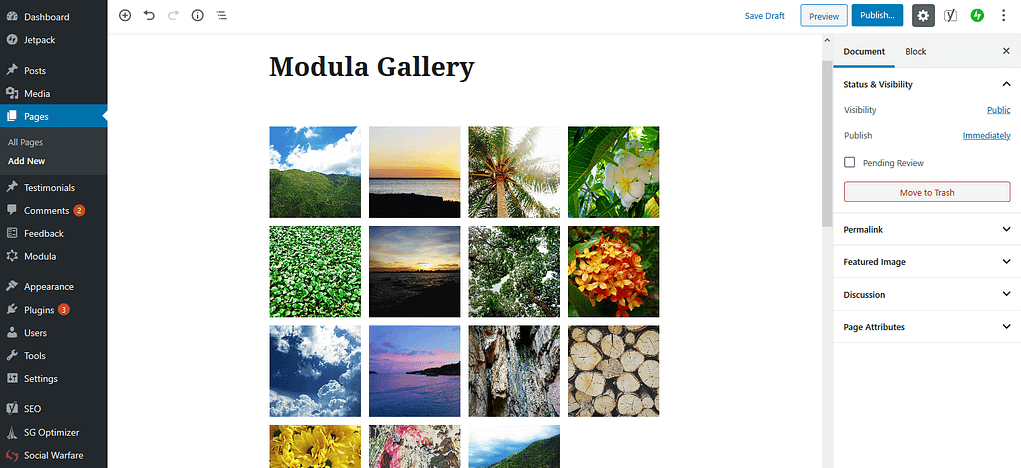 Modula gallery settings