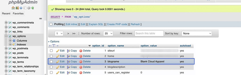 find the blogname option