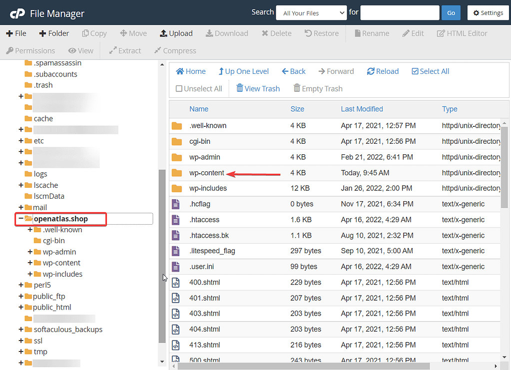 How to Fix "Destination Folder Already Exists" Error on WordPress