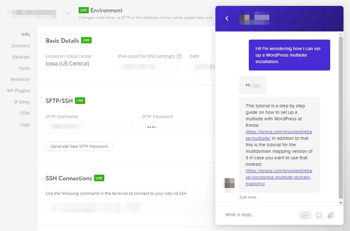 A live chat with Kinsta.
