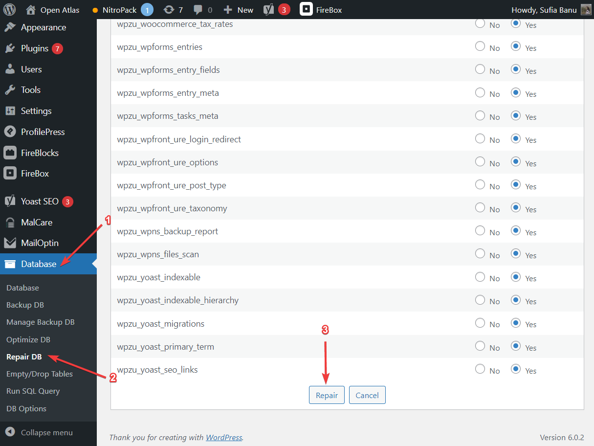 repairing wordpress database using wpdbmanager