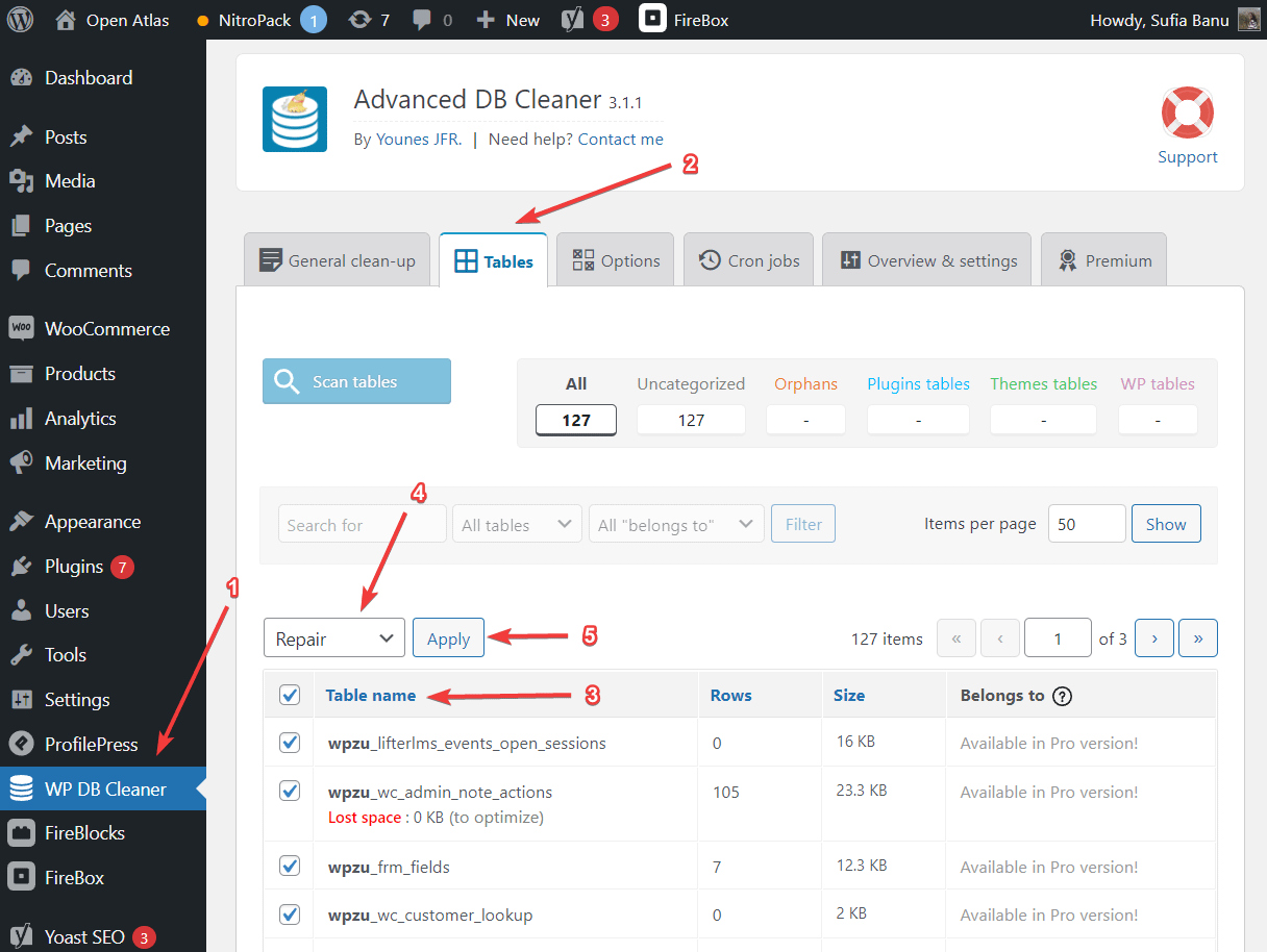 repairing wordpress database with advanced db cleaner