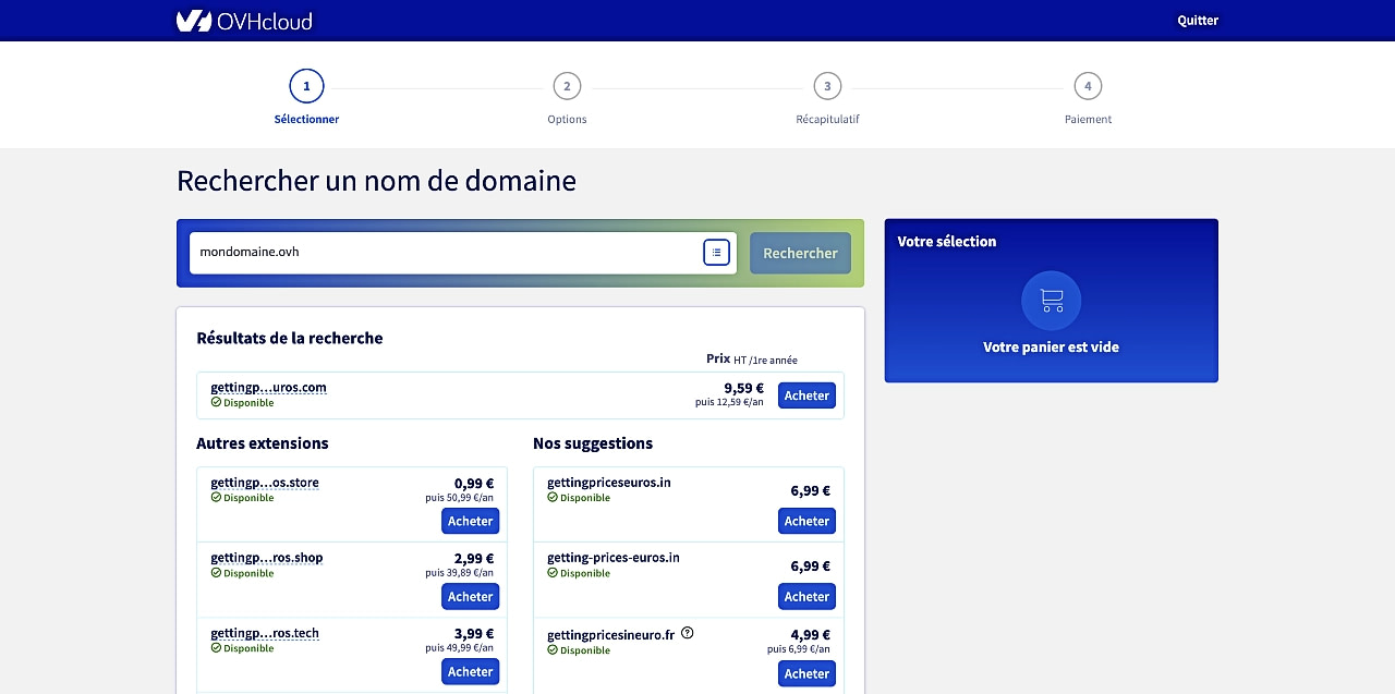 Purchasing a domain name on OVH and being quoted prices in Euros.