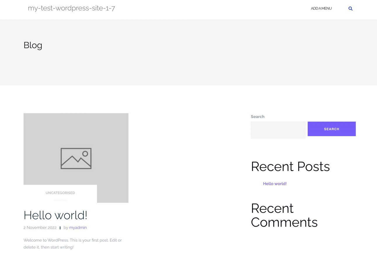frontend view of free WordPress test site
