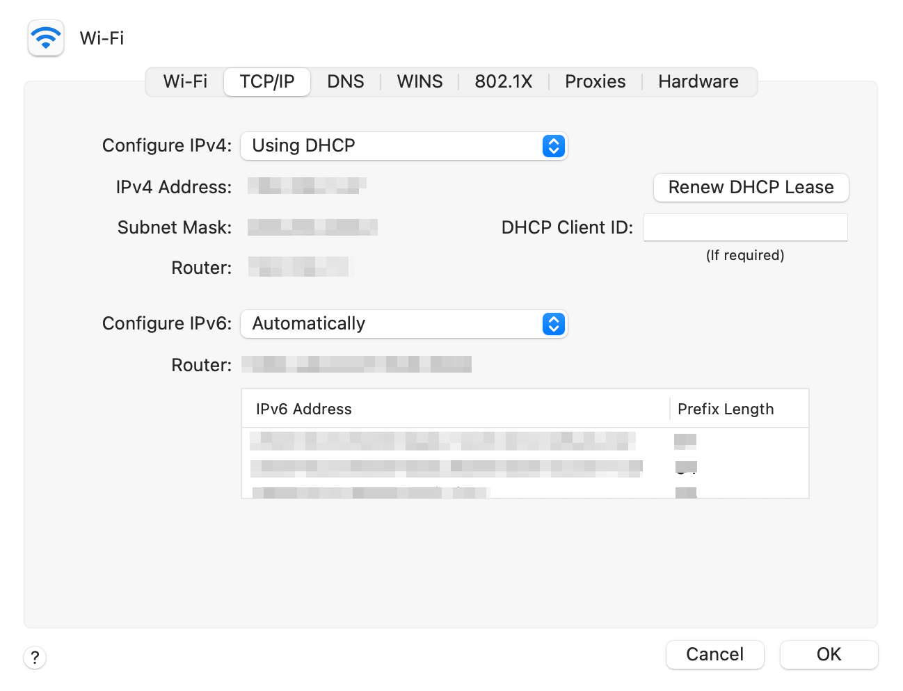 Resetting the TCP/IP settings on a macOS.