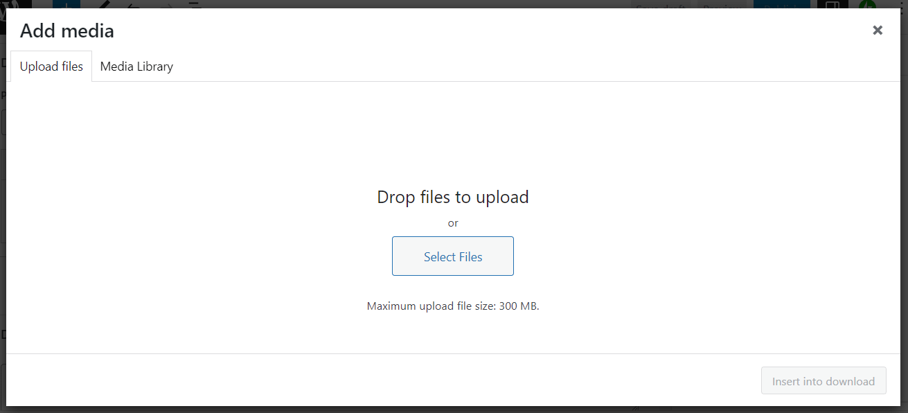 Adding Media to WordPress.