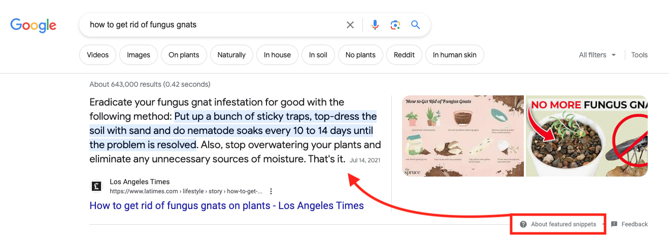 Example of a featured snippet in Google search results