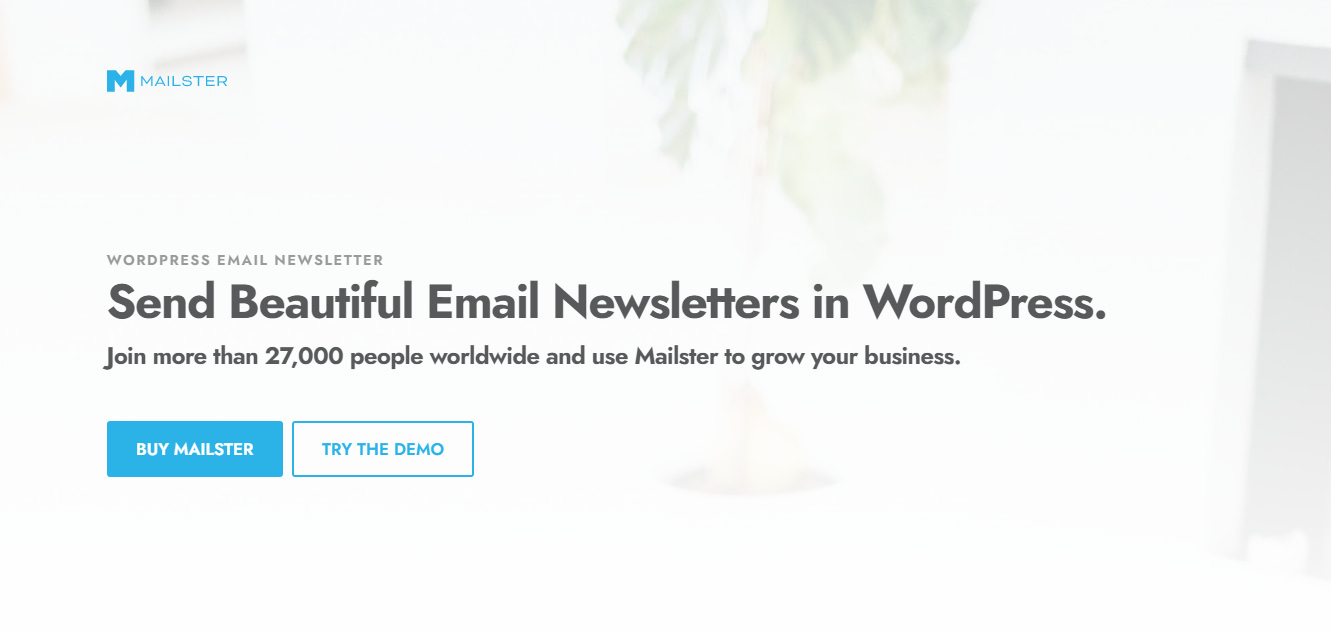 Mailster is one of the best WordPress email marketing plugins.