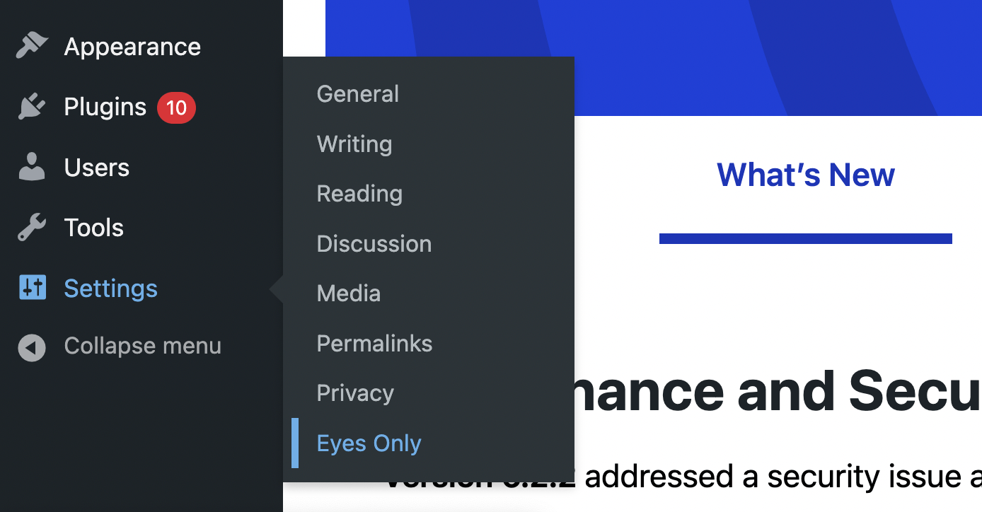 Eyes Only plugin settings.