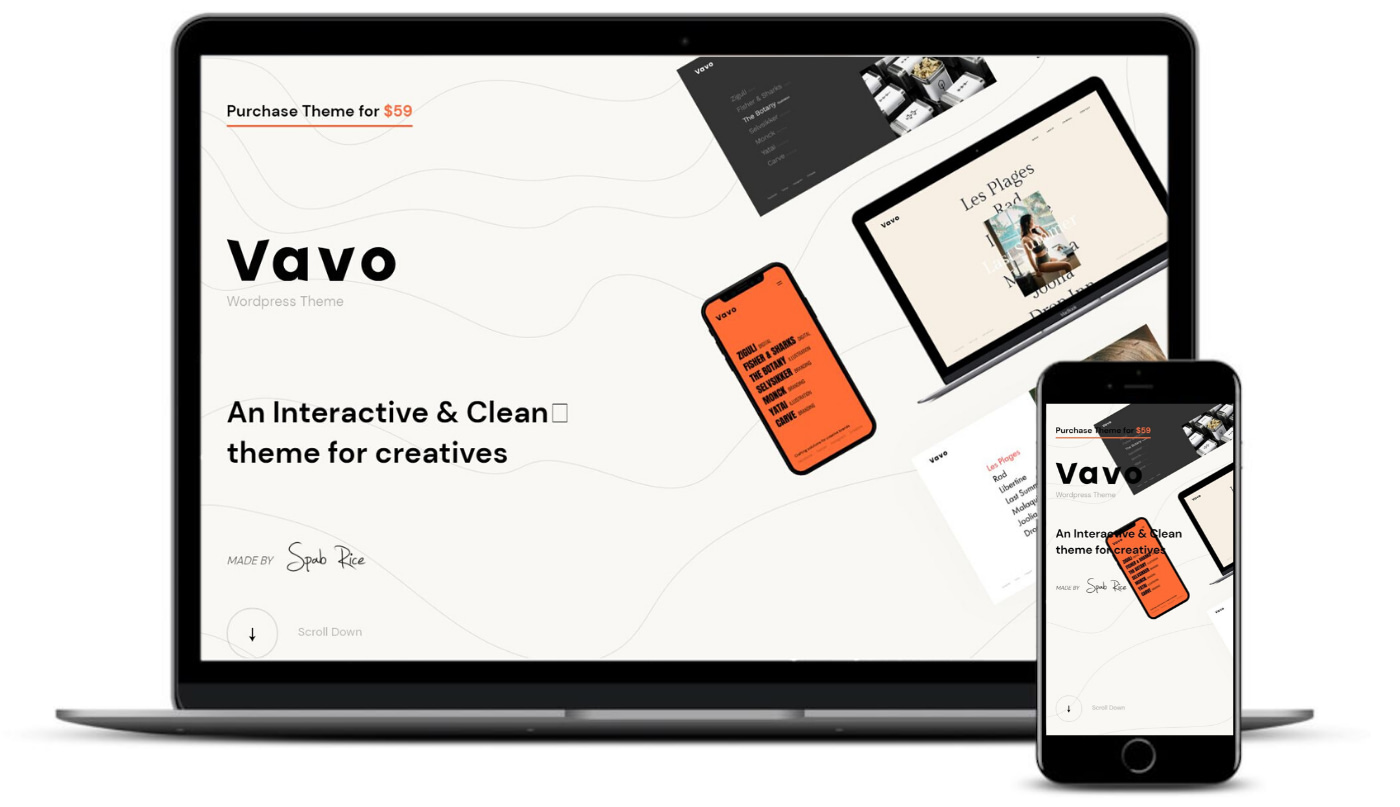 Vavo is one of the best portfolio WordPress themes because of its modern look.