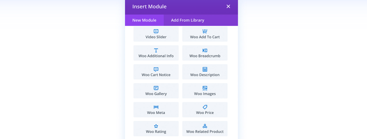 Divi WooCommerce modules.