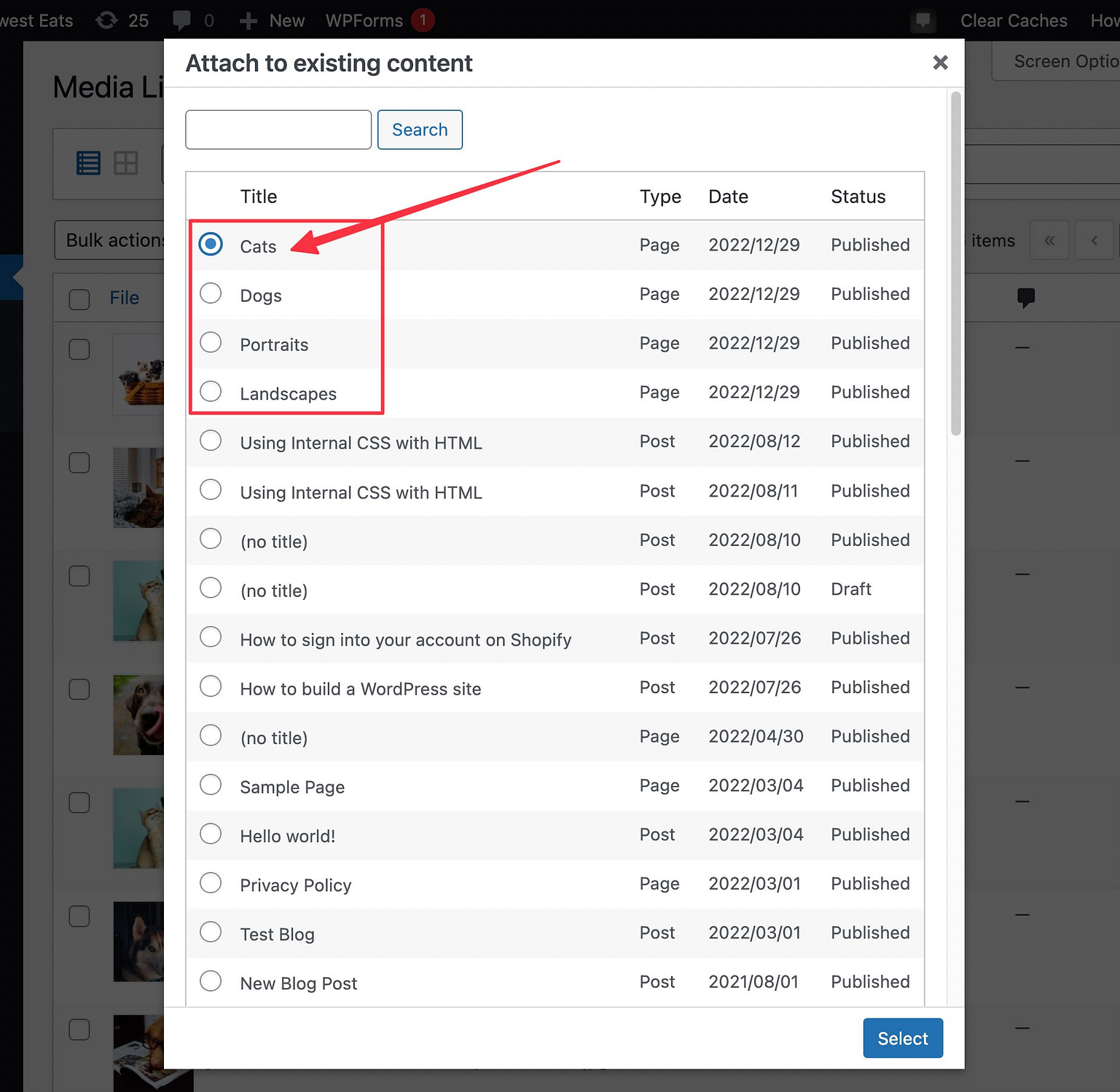 Organize Your Media Library by Adding WordPress Media Folders