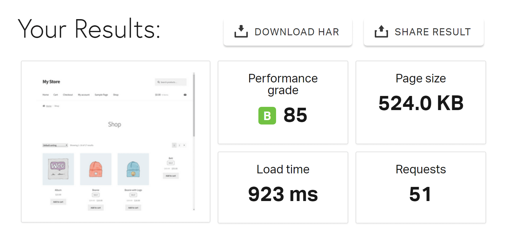 Storefront theme review performance overview.