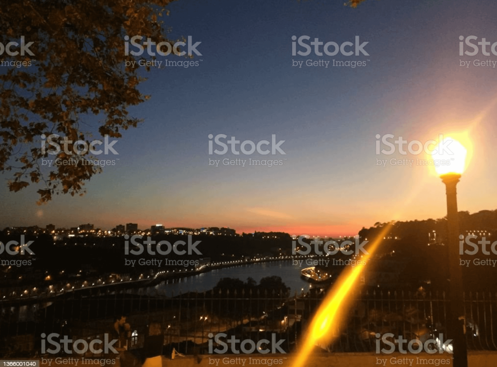 iStock watermarks images to prevent content scraping.