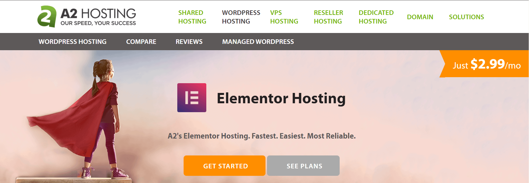 A2 Elementor Hosting.