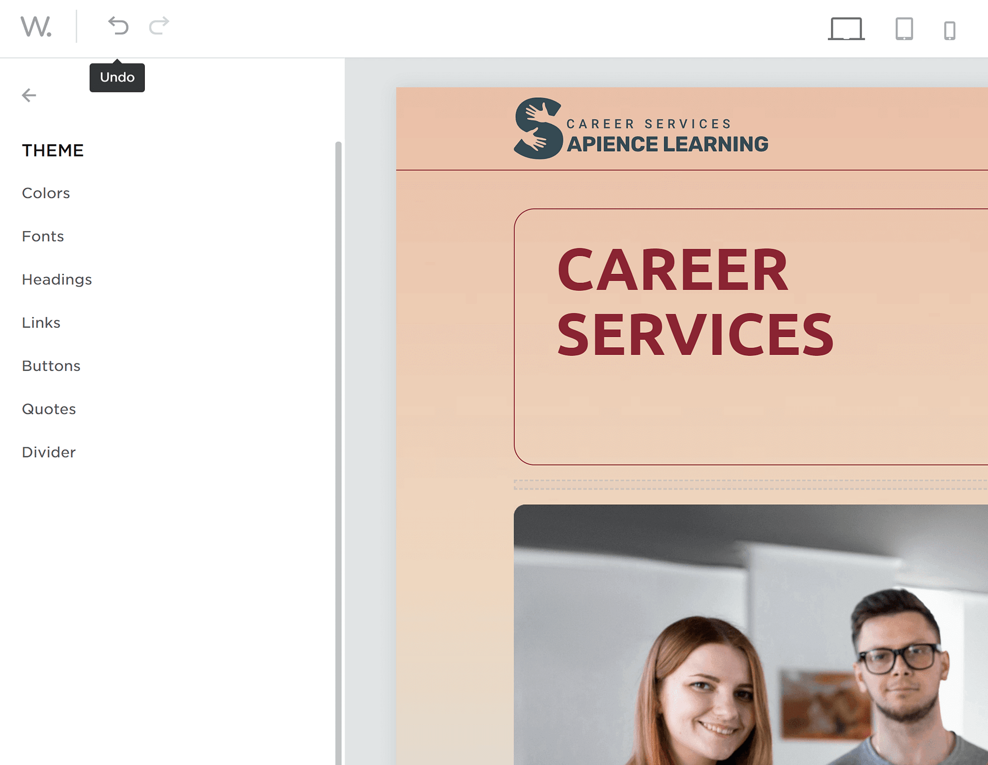 Theme customization options