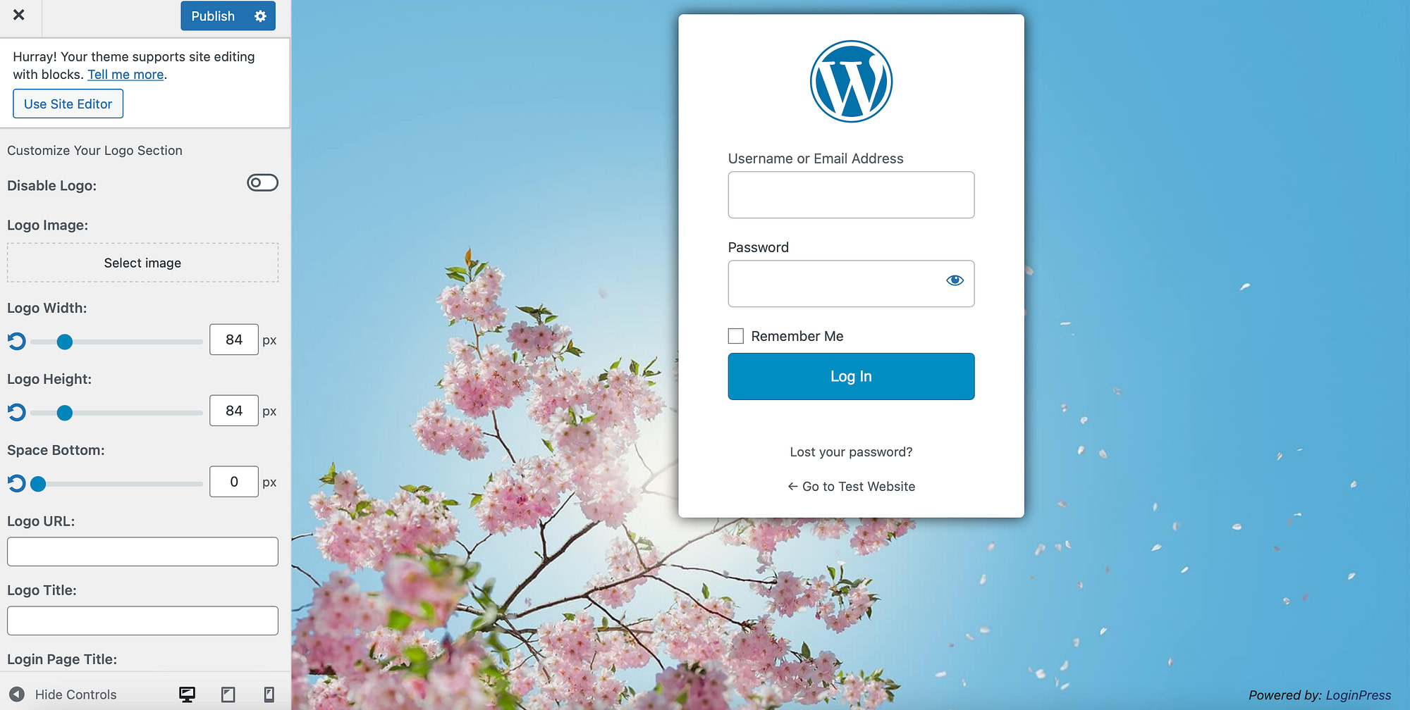 Add a custom logo to WordPress login page