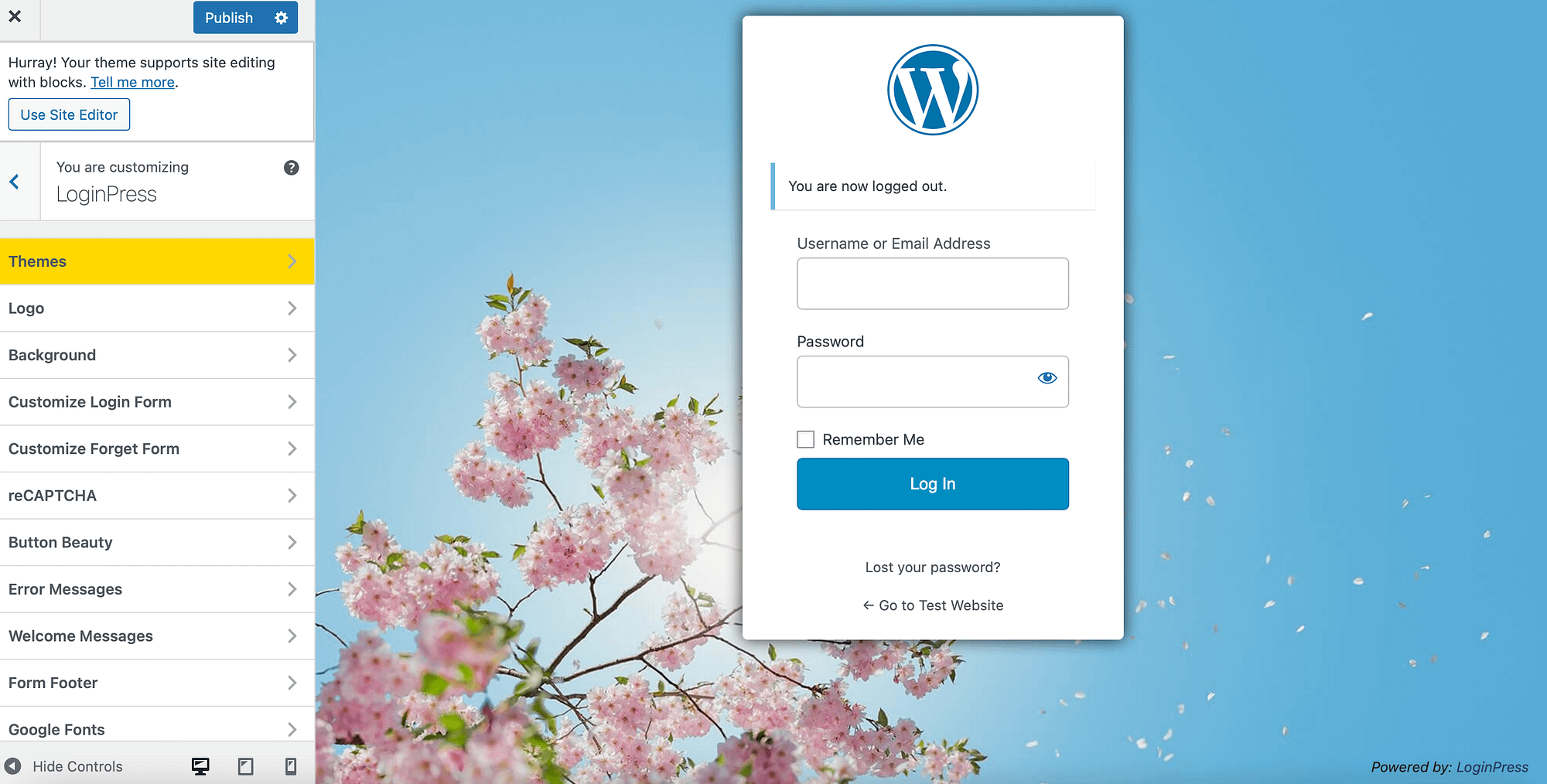 Белая этикетка WordPress с LoginPress