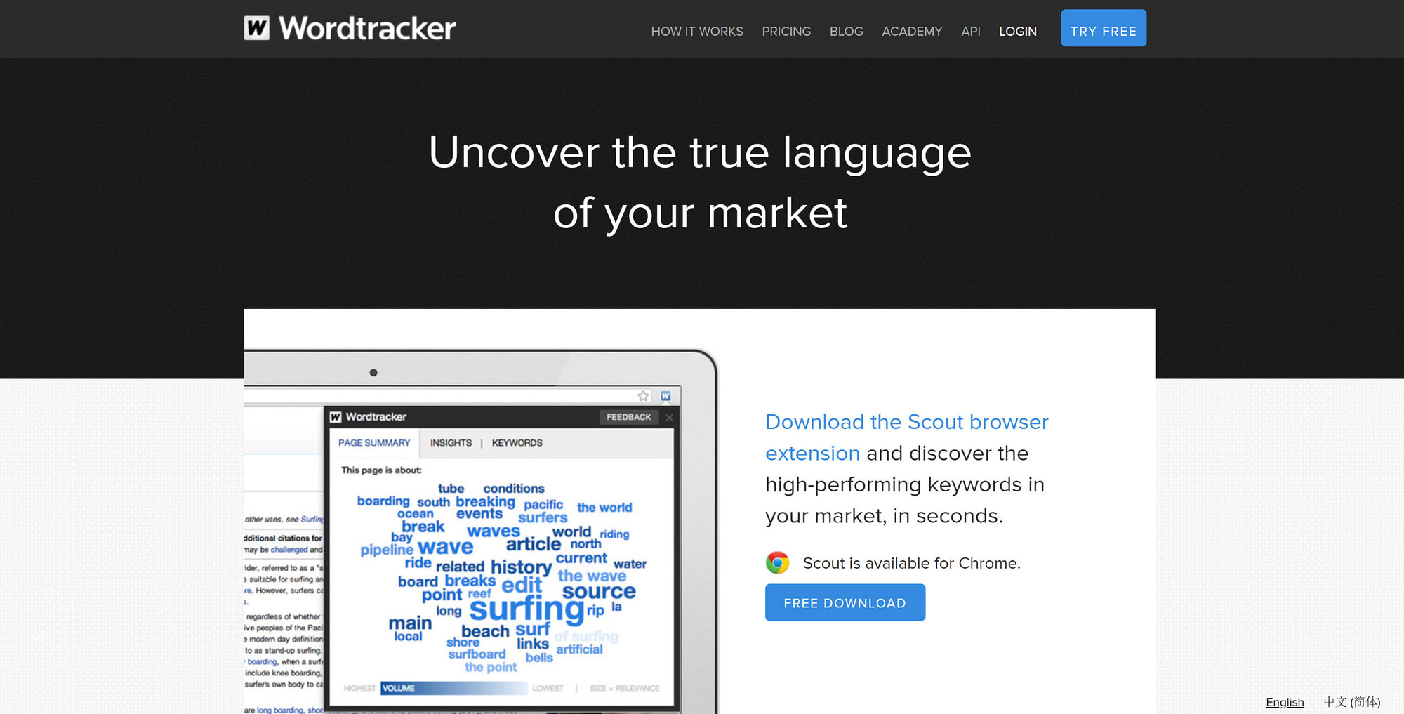 Wordtracker scout top