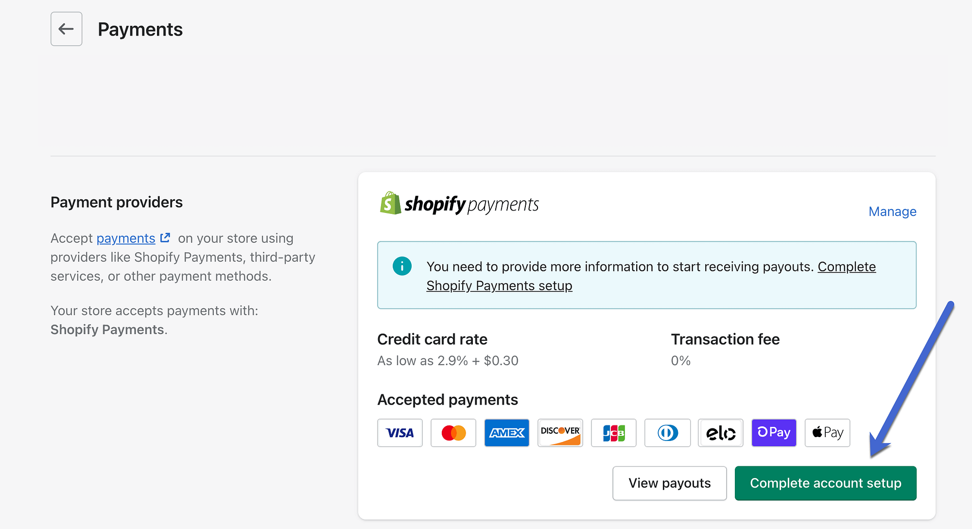 Shopify Payments